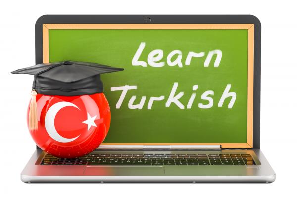 турецкий язык внж